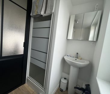Location Appartement 1 pièce 17m² LILLE 59000 - Photo 4