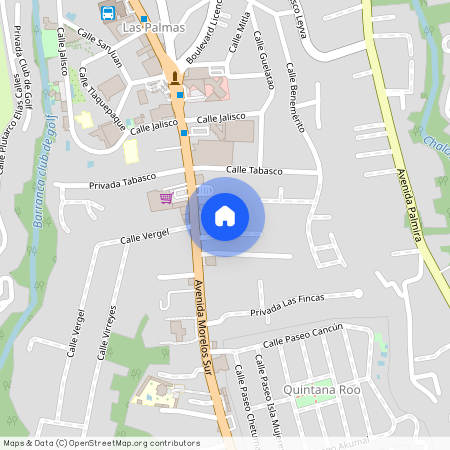 Arrayan 11, Colonia Las Palmas, C.P. 62050