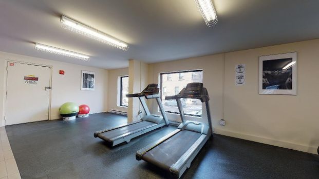 Plateau Mont-Royal - Photo 1