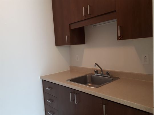 Le 443 Sainte-Anne, St-Hyacinthe - Photo 1