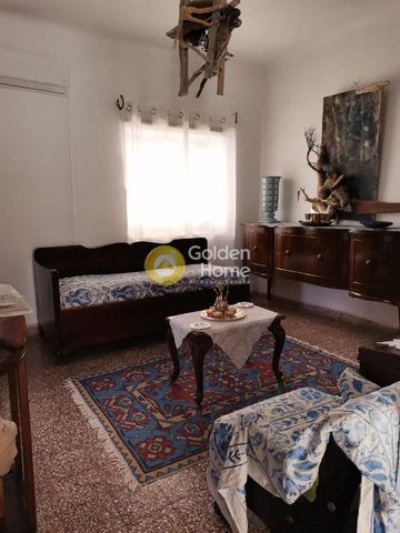 Μονοκατοικία για ενοικίαση Αγία Μαρίνα (Αίγινα) - Photo 3
