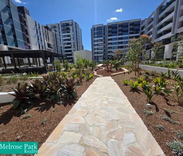 1005/2B Appleroth Street, Melrose Park NSW 2114 - Apartment For Ren... - Photo 3