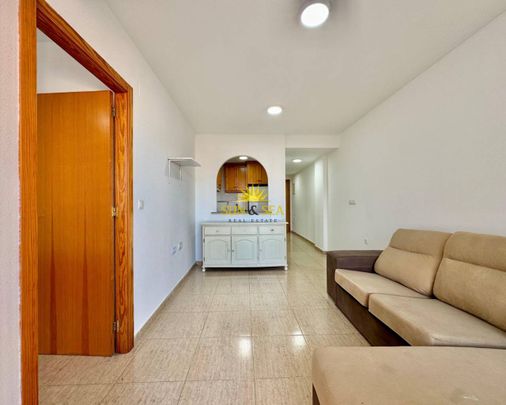 1 BEDROOM APARTMENT FOR RENT IN TORREVIEJA - ALICANTE - Photo 1