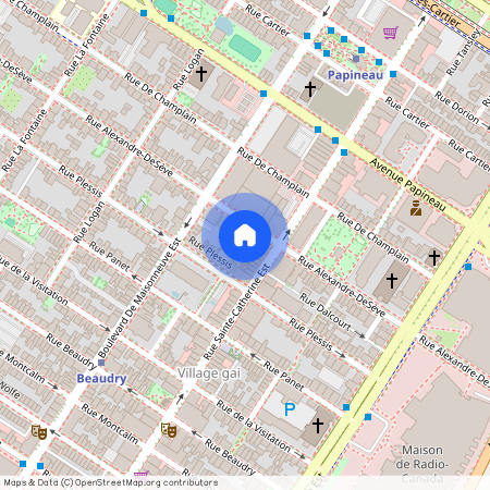 1422 Rue Alexandre-DeSève H2L2V6, Montréal