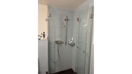 Studio in Zürich - Kreis 4 Langstrasse, möbliert, auf Zeit - Foto 5