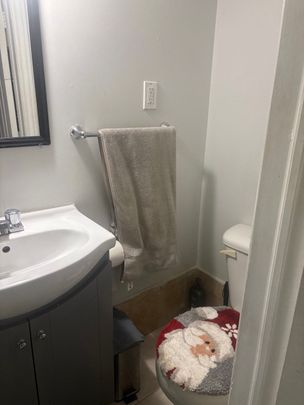 For Lease - 431 Oceanside Avenue, Richmond Hill, Ontario - Photo 1