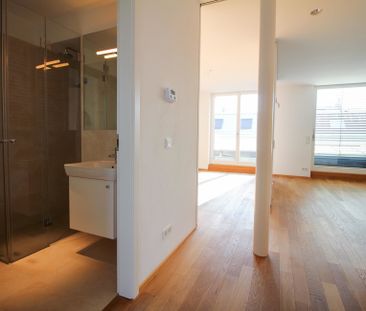 Roof terrace rentals, near Beatrixg./Reisnerstr. - Photo 1