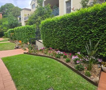 Dulwich Hill - Photo 5