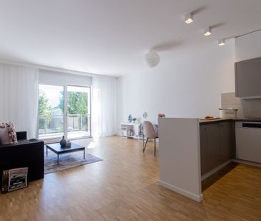 2.5 locali nel meraviglioso Parco Maraini - Foto 2