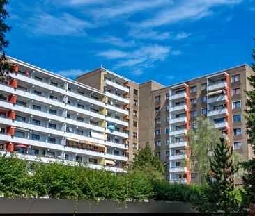 Demnächst frei! 4-Zimmer-Wohnung in Leverkusen Steinbüchel - Foto 1