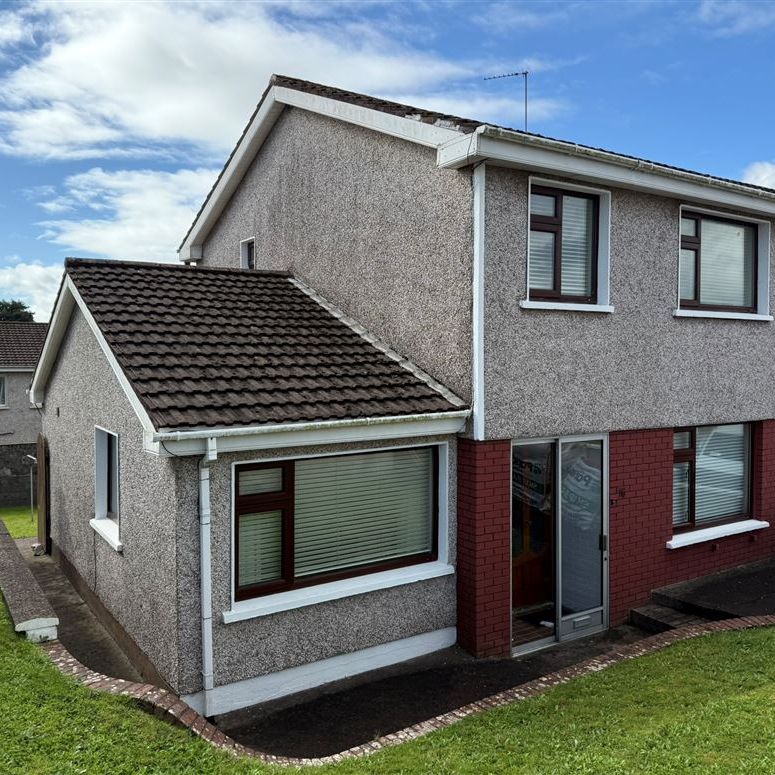 16 Greystones, Ballincollig, Cork - Photo 1