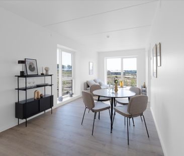 Hedvig Billes Top 4, 3.3 - Photo 3