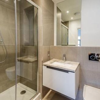 Palace Wharf, Hammersmith W6 - Photo 4