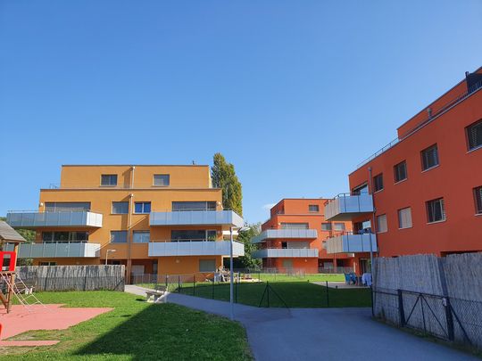 Bel appartement lumineux de 2,5 pièces à Chavannes-près-Renens - Foto 1