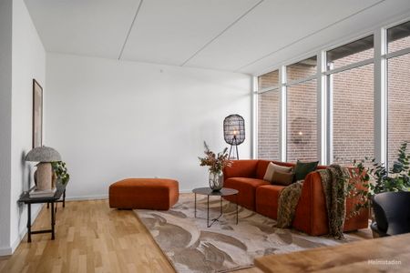 Velkommen til Store Grundet Alle! - Photo 4