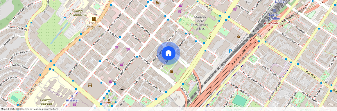 1220 Rue St Marc, Montréal