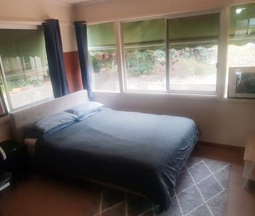 444 Schubach Street, East Albury, NSW 2640 - Photo 4