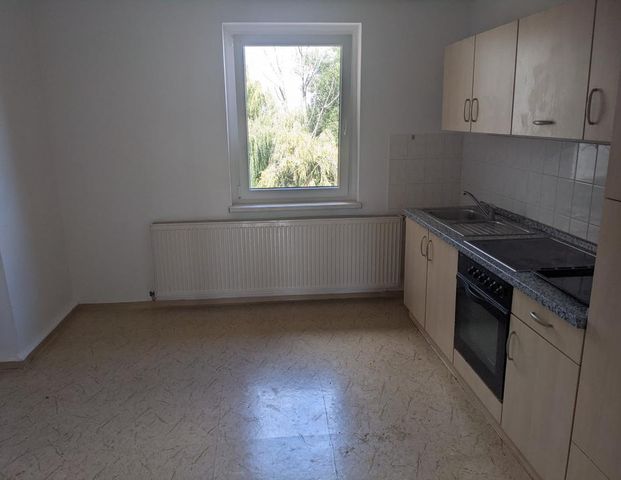 3 MoKMfrei - Photo 1