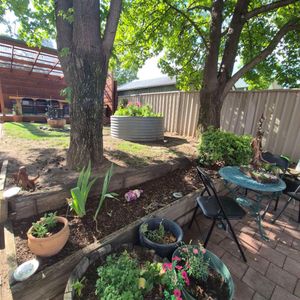 Queanbeyan - Photo 3