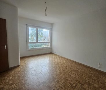 4.5 locali ristrutturato con ampia terrazza - Photo 2