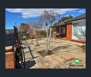 115 Collett Street, Queanbeyan, NSW 2620 - Photo 3