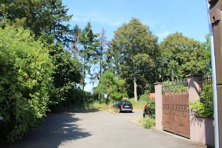 Duplex 3 pièces à Benfeld - Photo 5