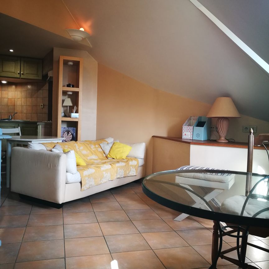 Location Appartement 2 pièces 29m² - Photo 1