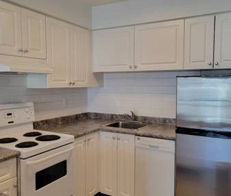 Large Cat Friendly Studio Unit With Laundry Steps From Commercial Dr - Photo 1