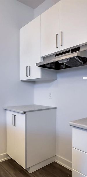 86 Rue Du Campagnard (Gatineau) Très Beau Logement De 1 Cc - Photo 1