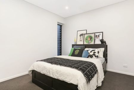 22 Pearl Street, Newtown, NSW 2042 - Photo 5