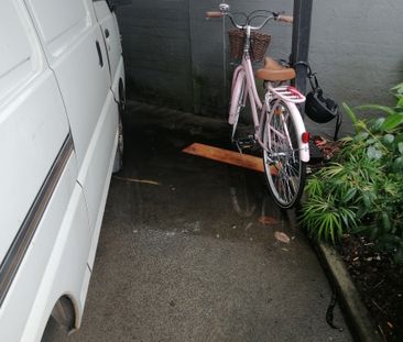 Parramatta Park - Photo 6