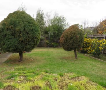 Well Presented 3 Bedroom Family Home – Balwyn High School Zone !!! - Photo 3