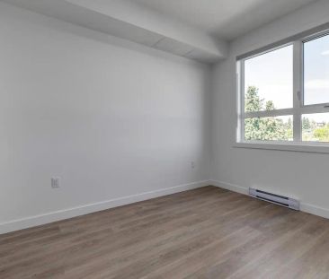 Madison Apartments — 1 Bedroom Apartment - Photo 3