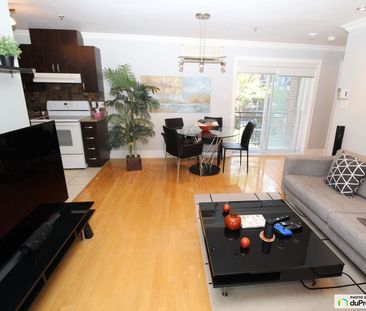 3 1/2-1020, rue Saint-Antoine Est, Ville-Marie (Centre-Ville et Vie... - Photo 6