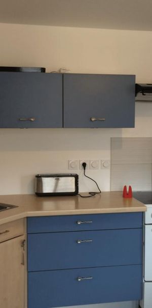 Location Appartement 2 pièces 48m² COGNIN 73160 - Photo 1