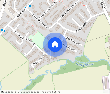 Ethley Drive, NP15 2FD - Photo 1