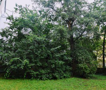 Grünruhelage: Schönes Single-Apartment nähe Augarten - Photo 6