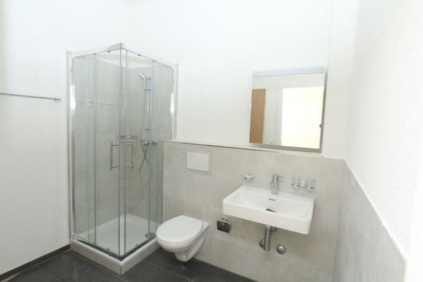 Large renovated apartment - Photo 1