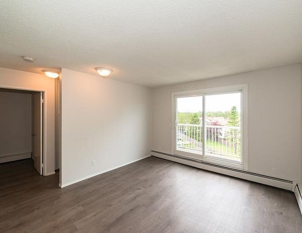 Meadowside Estates | 11919 162 Ave. NW, Edmonton - Photo 1