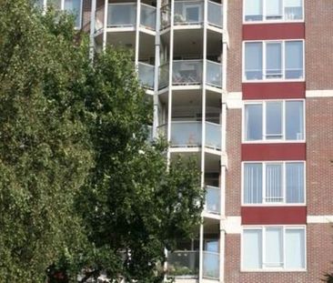 Logger 0ong, 1186 WB Amstelveen, Nederland - Foto 1