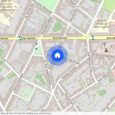 Rue Sars-Longchamps, 2, 7100, La Louvière