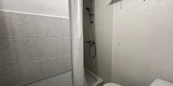 Location Appartement RENNES / Quartier CENTRE - Photo 3