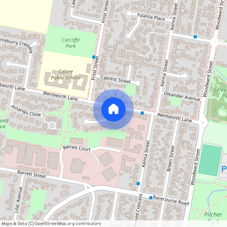 20 Pitta Pitta Place, NSW 2800, Orange