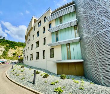 Pronájem kompletně zařízeného bytu 1+kk 28 m - Fotografie 5