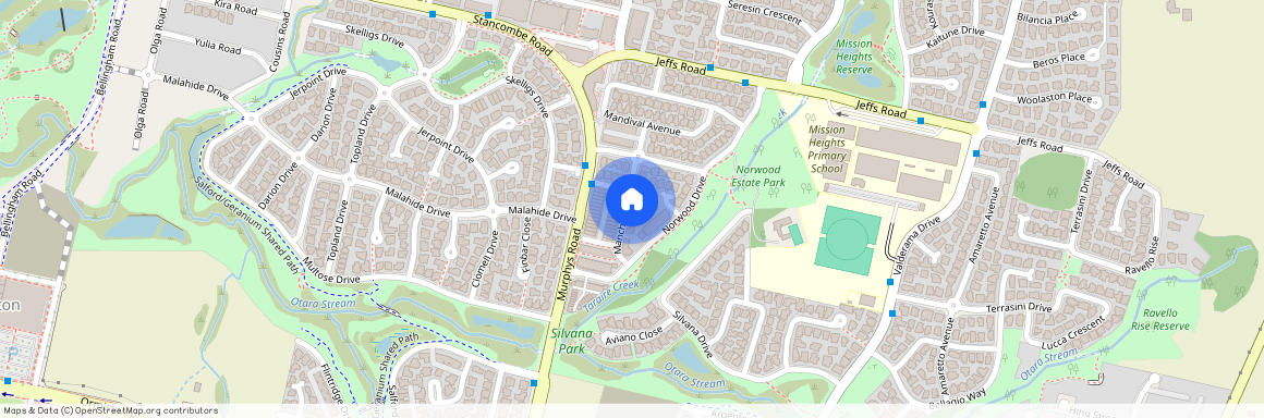 18 Manchester Drive, Flat Bush, Manukau City