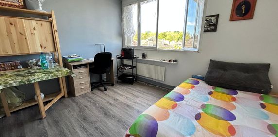 Location Appartement 1 pièce 17m² BRIVE LA GAILLARDE 19100 - Photo 2