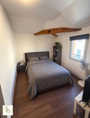 Location Appartement 1 pièce 43m² GAILLAC 81600 - Photo 1
