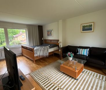 Herkulesgatan, Lund - Photo 2