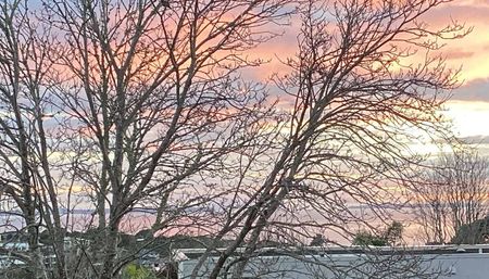 Stunning 4 bedroom flat in the Castor Bay - Photo 3