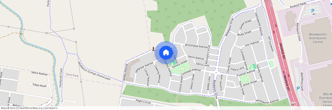 23 Starfire Avenue, NSW 2171, Middleton Grange